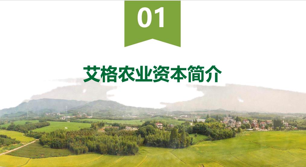 图片[3]-关于我们-艾格农业食品投融资平台