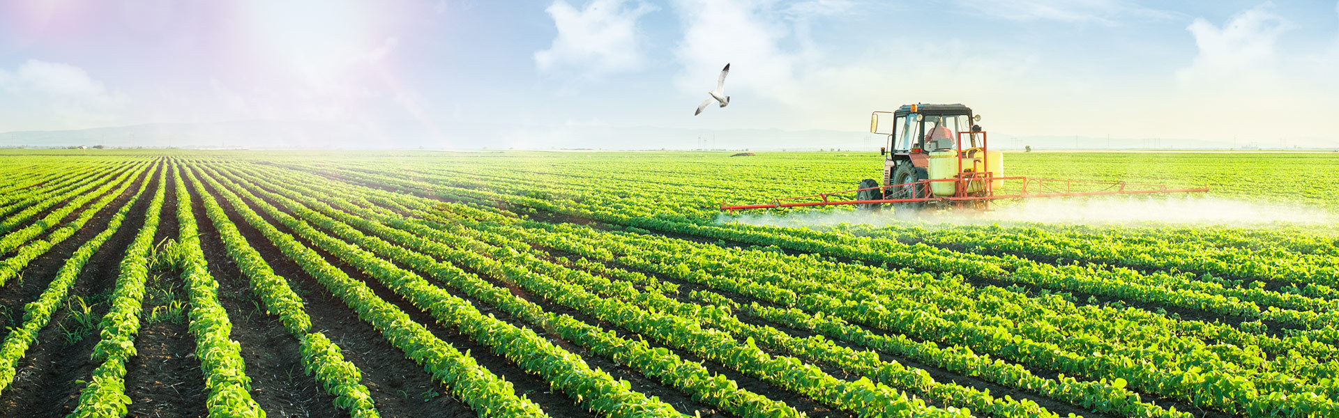 农业科技-数字化物联网、农业检测分析、人工智能大数据分析农业数字服务商寻股权融资-艾格农业投融资平台