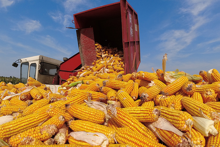 玉米和大豆价格接近创纪录新高，食品通胀风暴山雨欲来？-艾格农业投融资平台