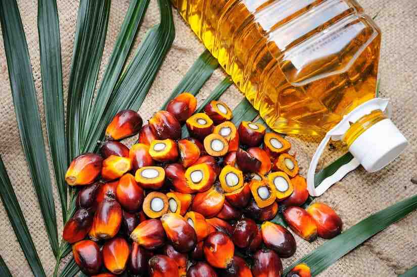 国际棕榈油期货大涨7%！印尼宣布禁止出口，引爆食品通胀担忧-艾格农业投融资平台