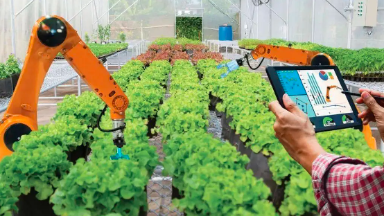 图片[2]-设施农业智慧种植系统提供商寻战略投资人-艾格农业投融资平台