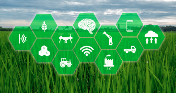 农业科技-专注于视觉光谱技术的智慧农业整体解决方案服务商寻战略投资人-艾格农业投融资平台