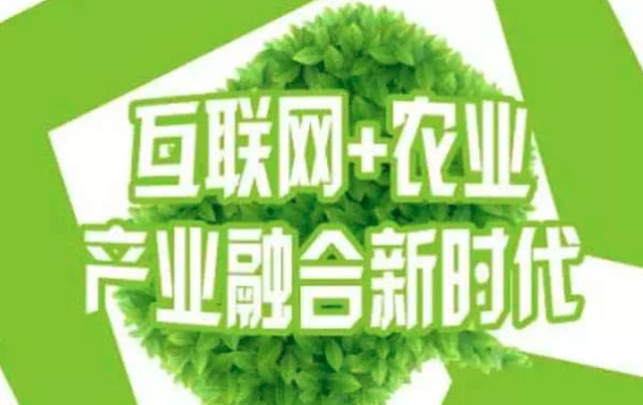 图片[3]-农业投入品领域数字化服务平台寻战略投资人-艾格农业投融资平台