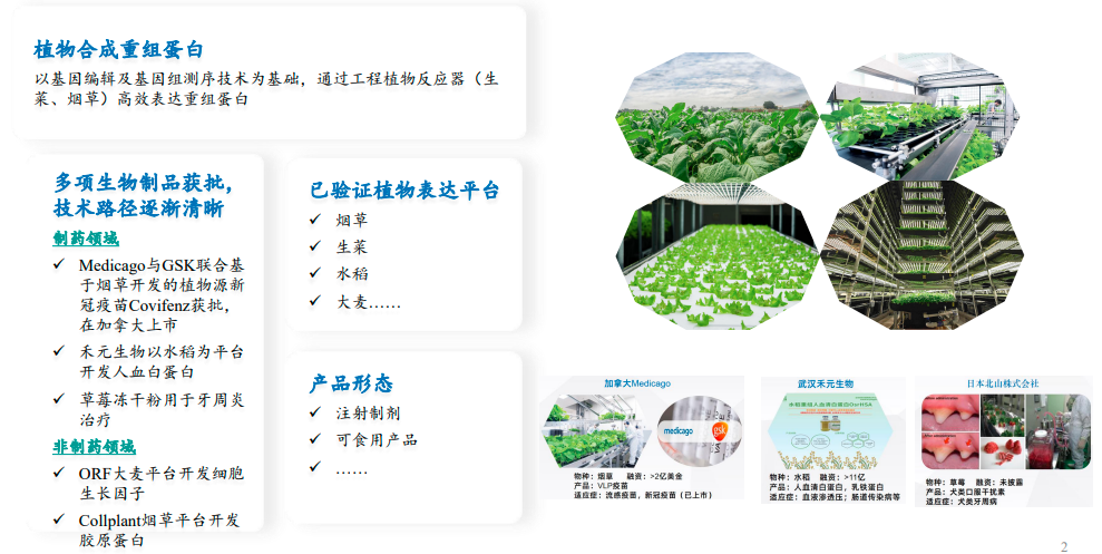图片[1]-植物合成重组蛋白企业寻战略投资人-艾格农业投融资平台
