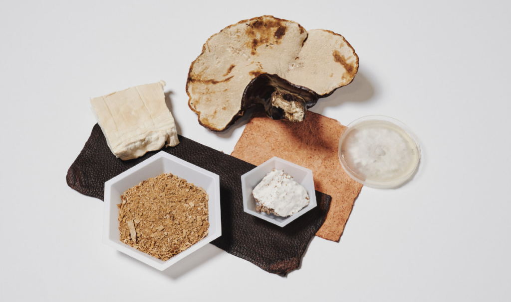 菌丝体纤维生物新材料研发与制造企业寻战略投资人-艾格农业投融资平台